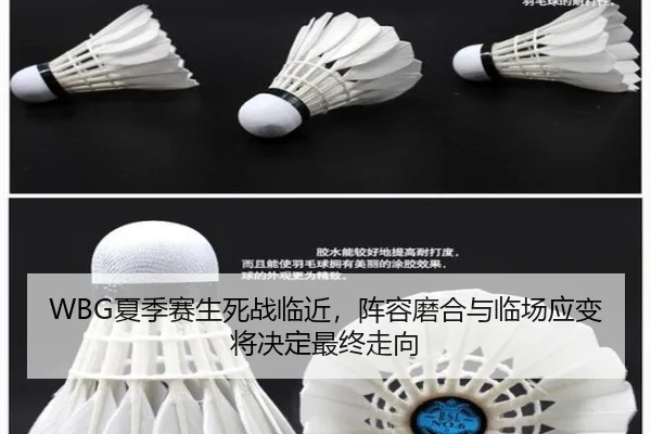 img_1784005091399_152_2_815.jpg